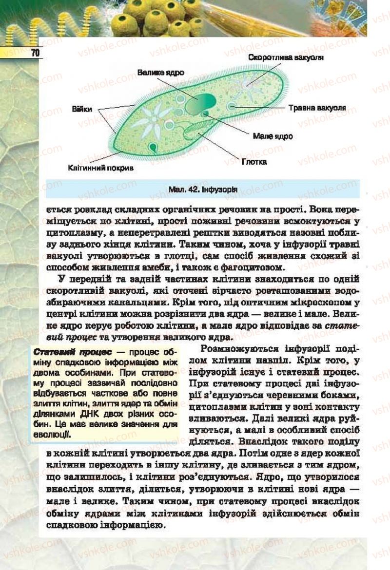 Страница 70 | Підручник Біологія 6 клас І.Ю. Костіков, С.О. Волгін, В.В. Додь 2014