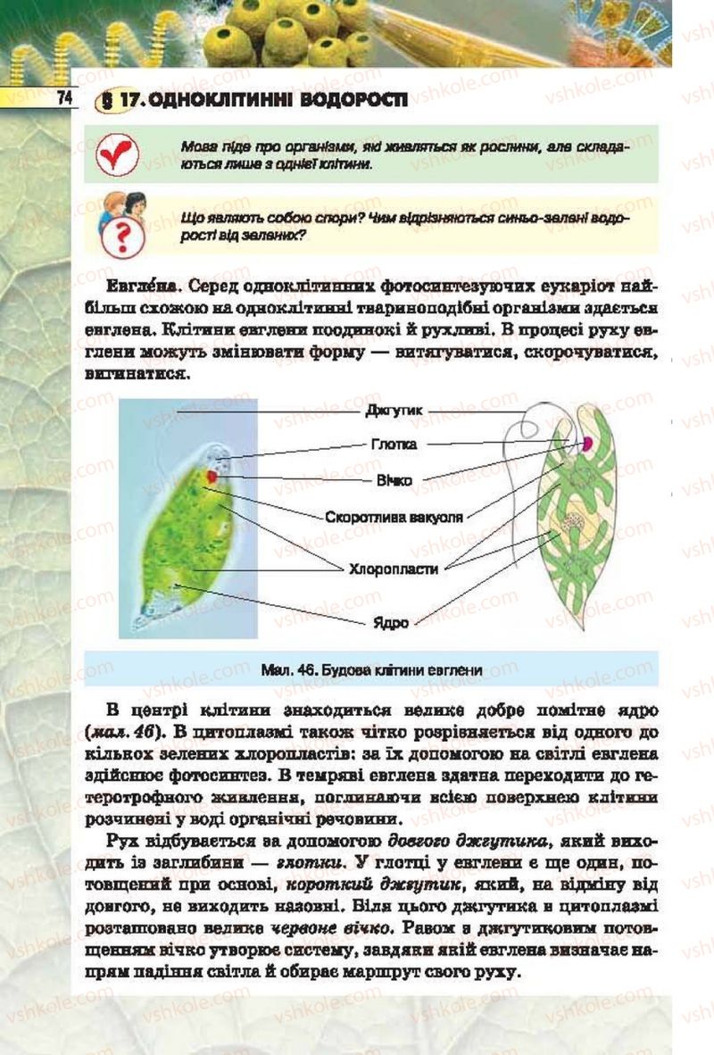 Страница 74 | Підручник Біологія 6 клас І.Ю. Костіков, С.О. Волгін, В.В. Додь 2014