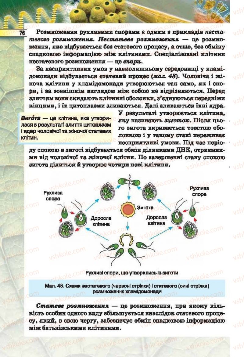 Страница 76 | Підручник Біологія 6 клас І.Ю. Костіков, С.О. Волгін, В.В. Додь 2014