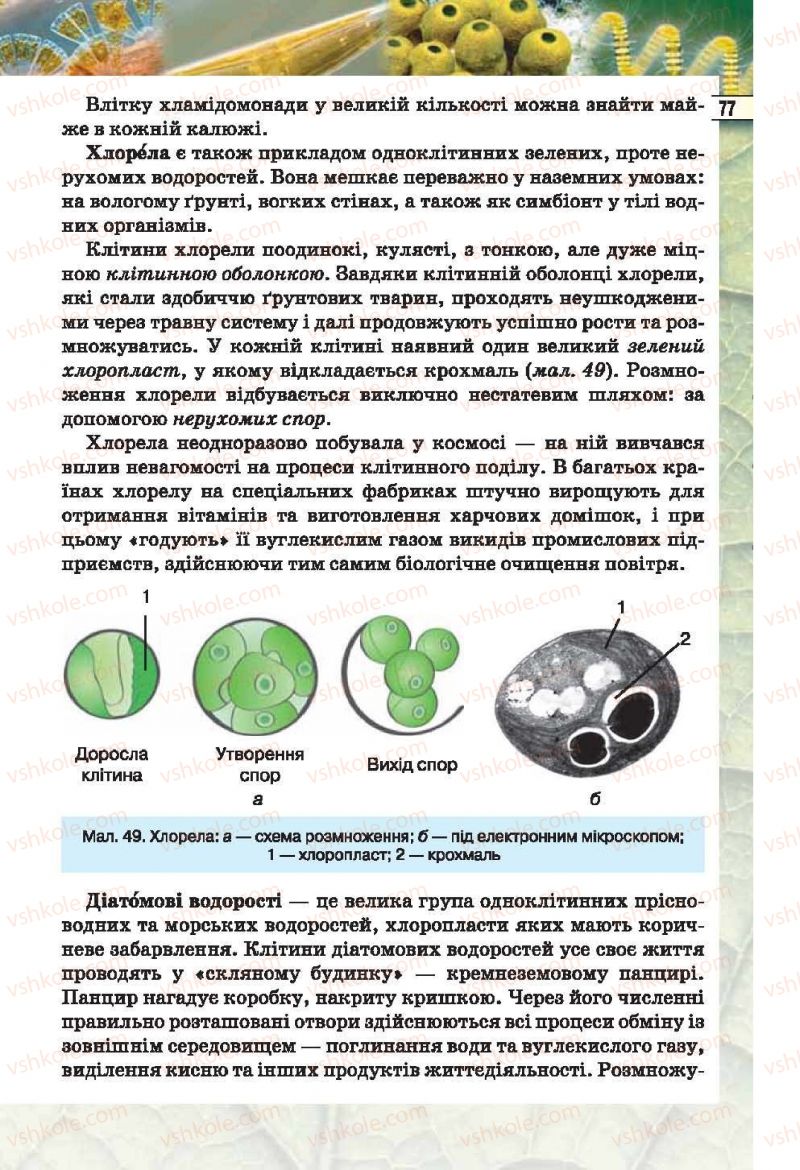 Страница 77 | Підручник Біологія 6 клас І.Ю. Костіков, С.О. Волгін, В.В. Додь 2014