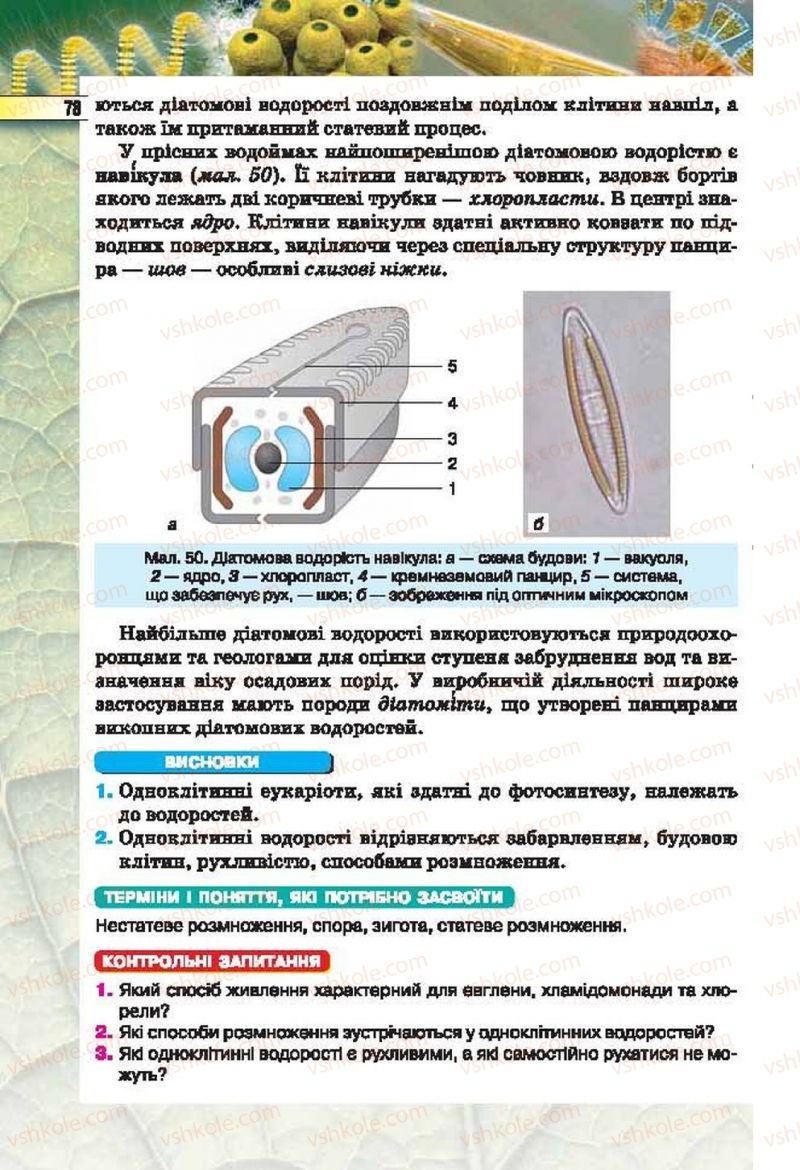 Страница 78 | Підручник Біологія 6 клас І.Ю. Костіков, С.О. Волгін, В.В. Додь 2014