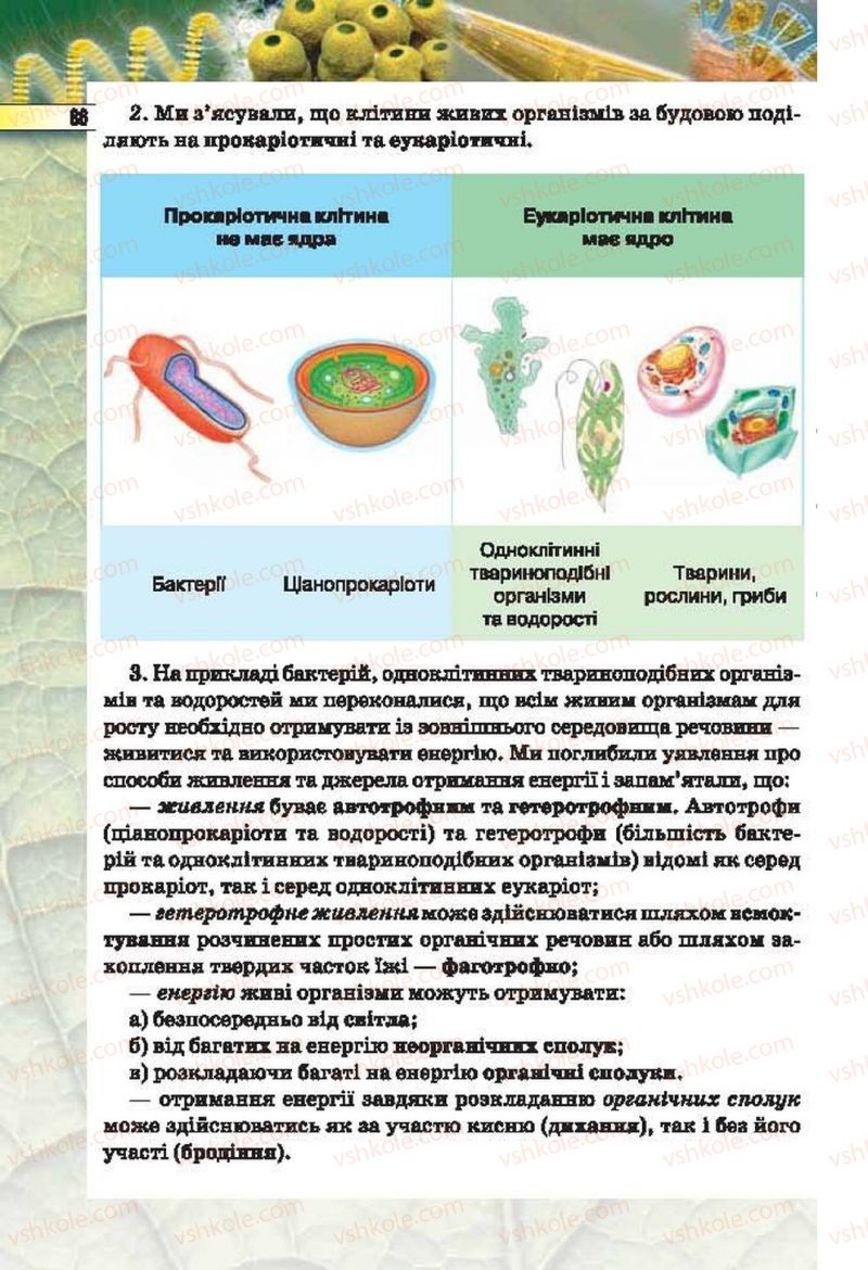 Страница 86 | Підручник Біологія 6 клас І.Ю. Костіков, С.О. Волгін, В.В. Додь 2014