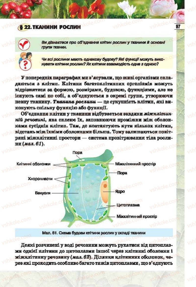 Страница 97 | Підручник Біологія 6 клас І.Ю. Костіков, С.О. Волгін, В.В. Додь 2014