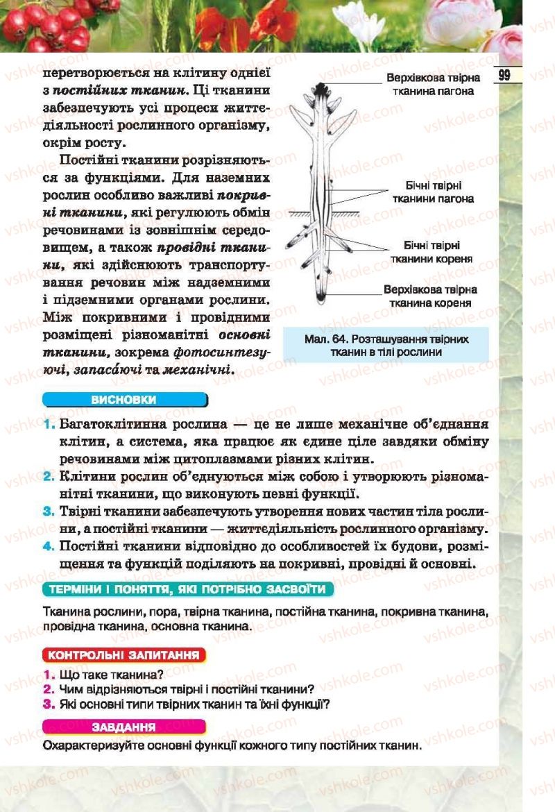 Страница 99 | Підручник Біологія 6 клас І.Ю. Костіков, С.О. Волгін, В.В. Додь 2014