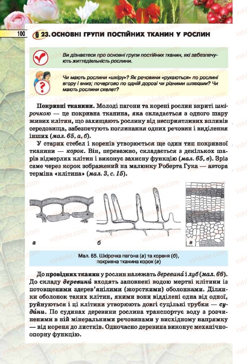 Страница 100 | Підручник Біологія 6 клас І.Ю. Костіков, С.О. Волгін, В.В. Додь 2014