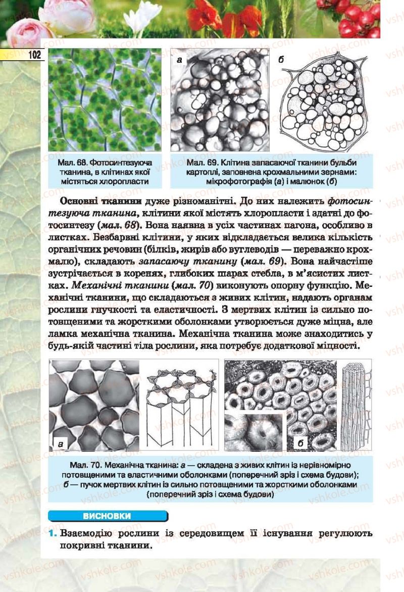 Страница 102 | Підручник Біологія 6 клас І.Ю. Костіков, С.О. Волгін, В.В. Додь 2014