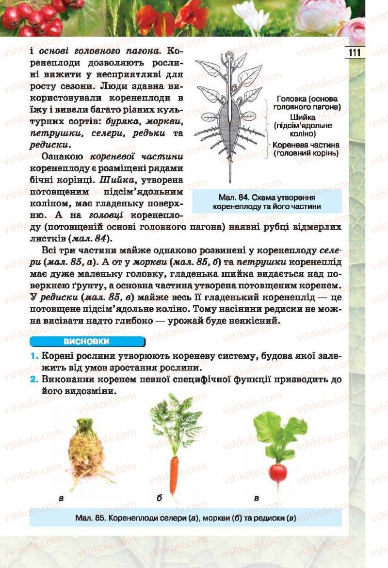 Страница 111 | Підручник Біологія 6 клас І.Ю. Костіков, С.О. Волгін, В.В. Додь 2014