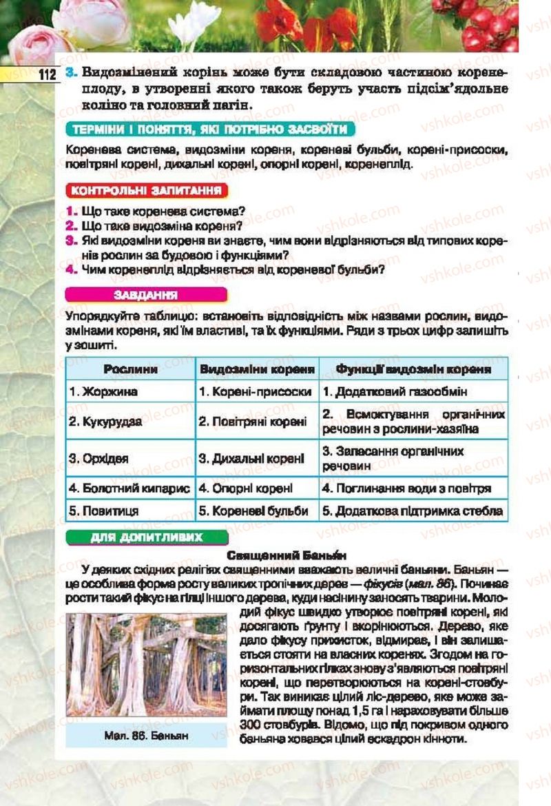 Страница 112 | Підручник Біологія 6 клас І.Ю. Костіков, С.О. Волгін, В.В. Додь 2014