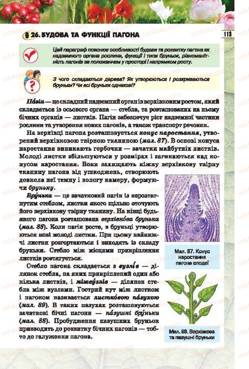 Страница 113 | Підручник Біологія 6 клас І.Ю. Костіков, С.О. Волгін, В.В. Додь 2014