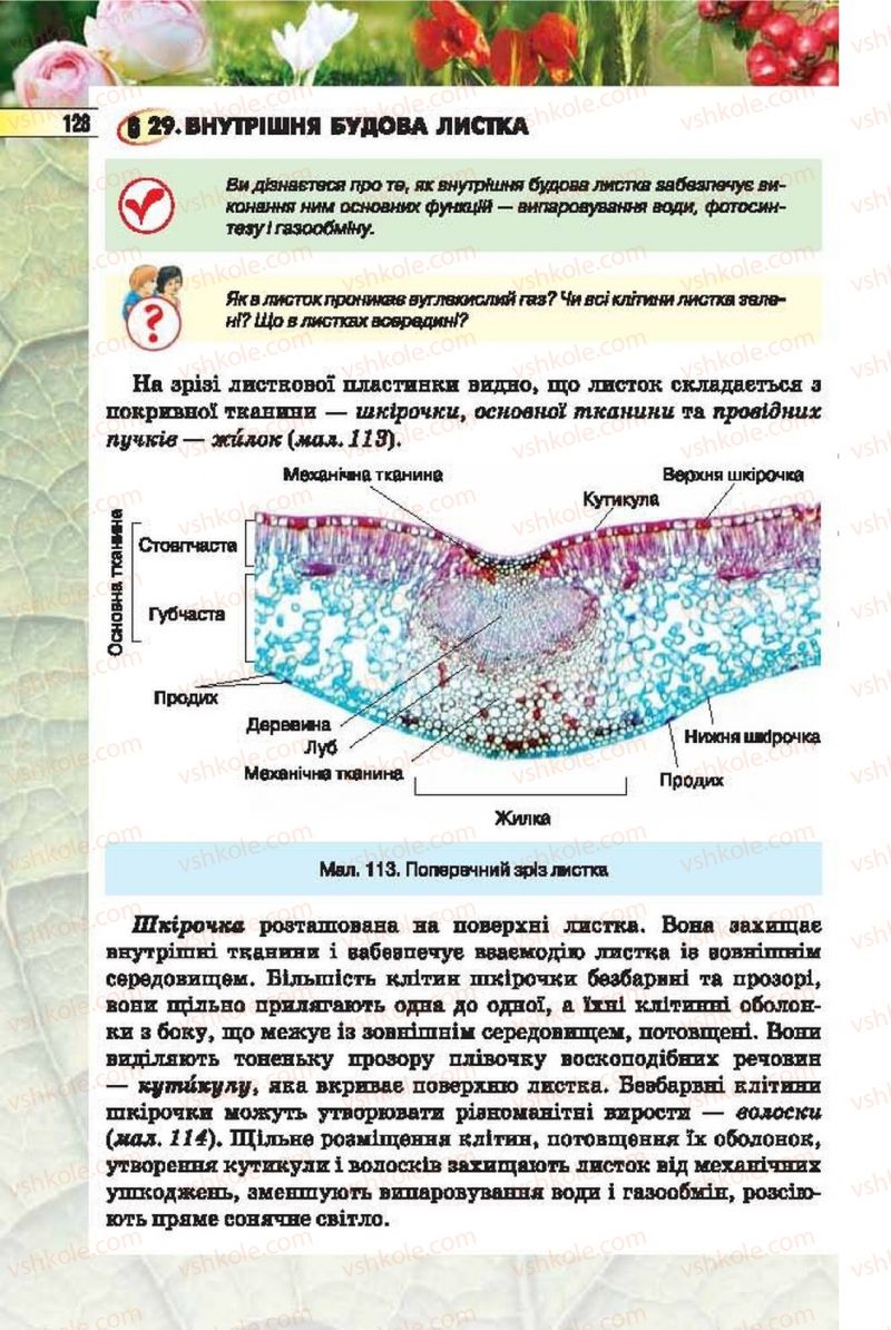 Страница 128 | Підручник Біологія 6 клас І.Ю. Костіков, С.О. Волгін, В.В. Додь 2014