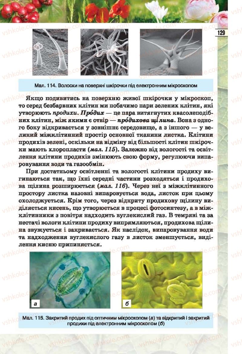 Страница 129 | Підручник Біологія 6 клас І.Ю. Костіков, С.О. Волгін, В.В. Додь 2014
