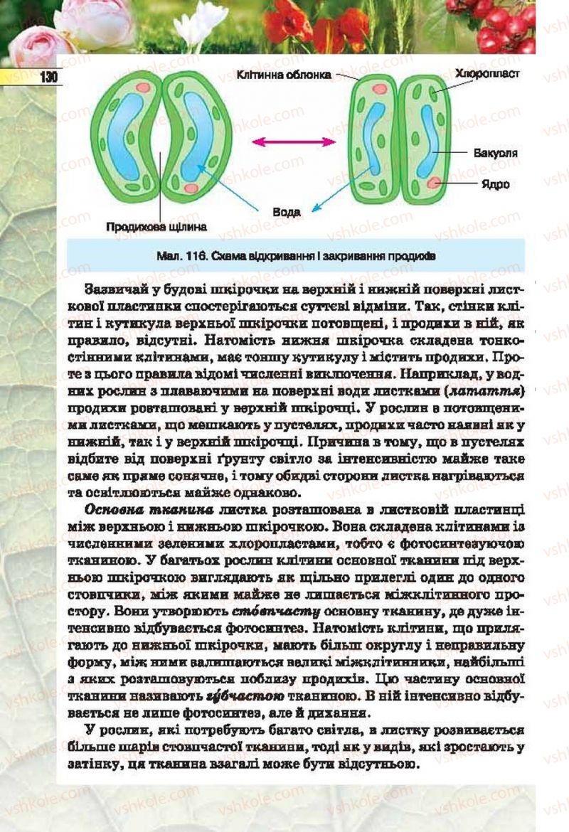 Страница 130 | Підручник Біологія 6 клас І.Ю. Костіков, С.О. Волгін, В.В. Додь 2014