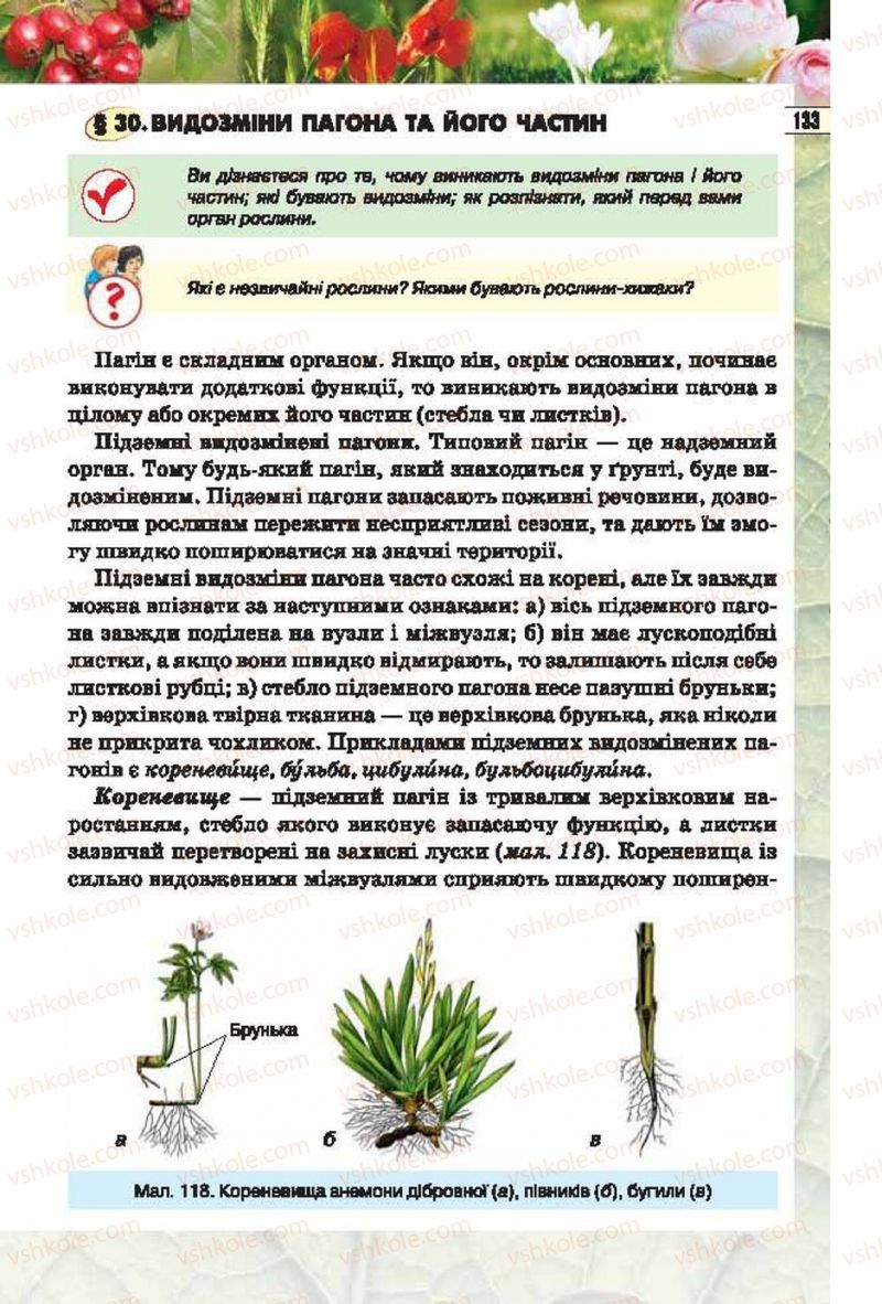 Страница 133 | Підручник Біологія 6 клас І.Ю. Костіков, С.О. Волгін, В.В. Додь 2014