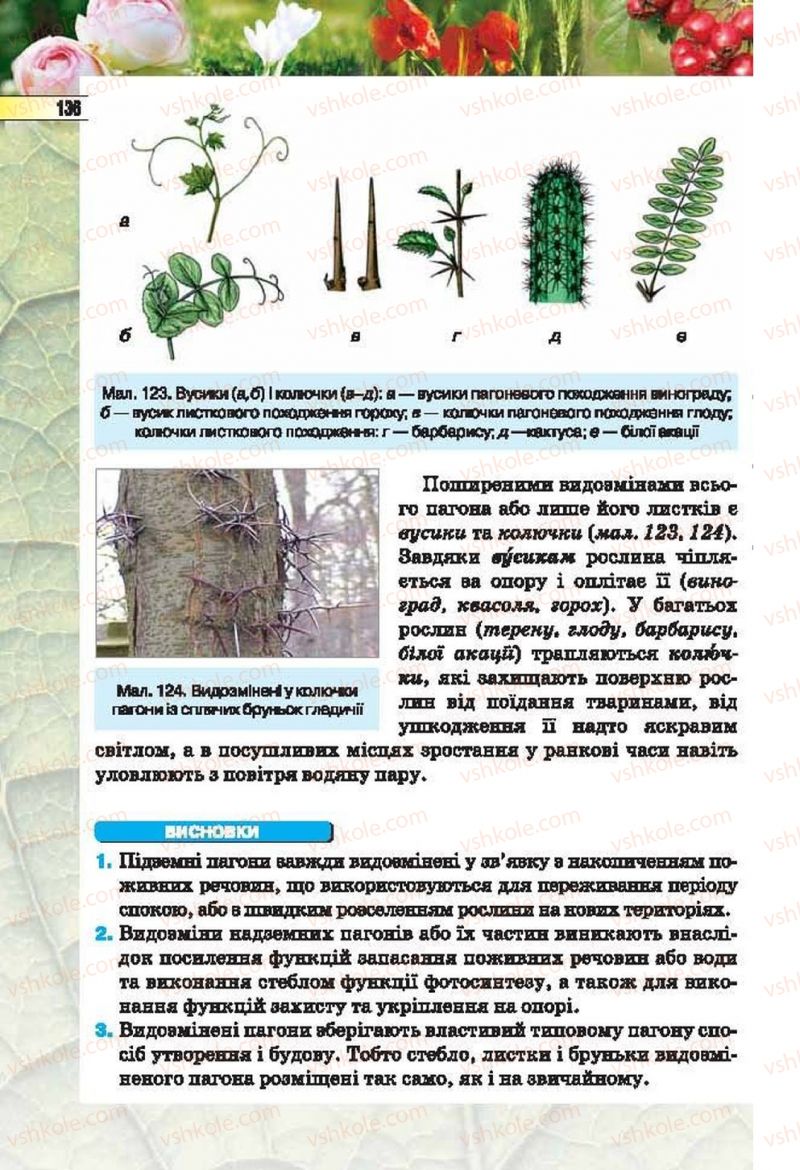 Страница 136 | Підручник Біологія 6 клас І.Ю. Костіков, С.О. Волгін, В.В. Додь 2014