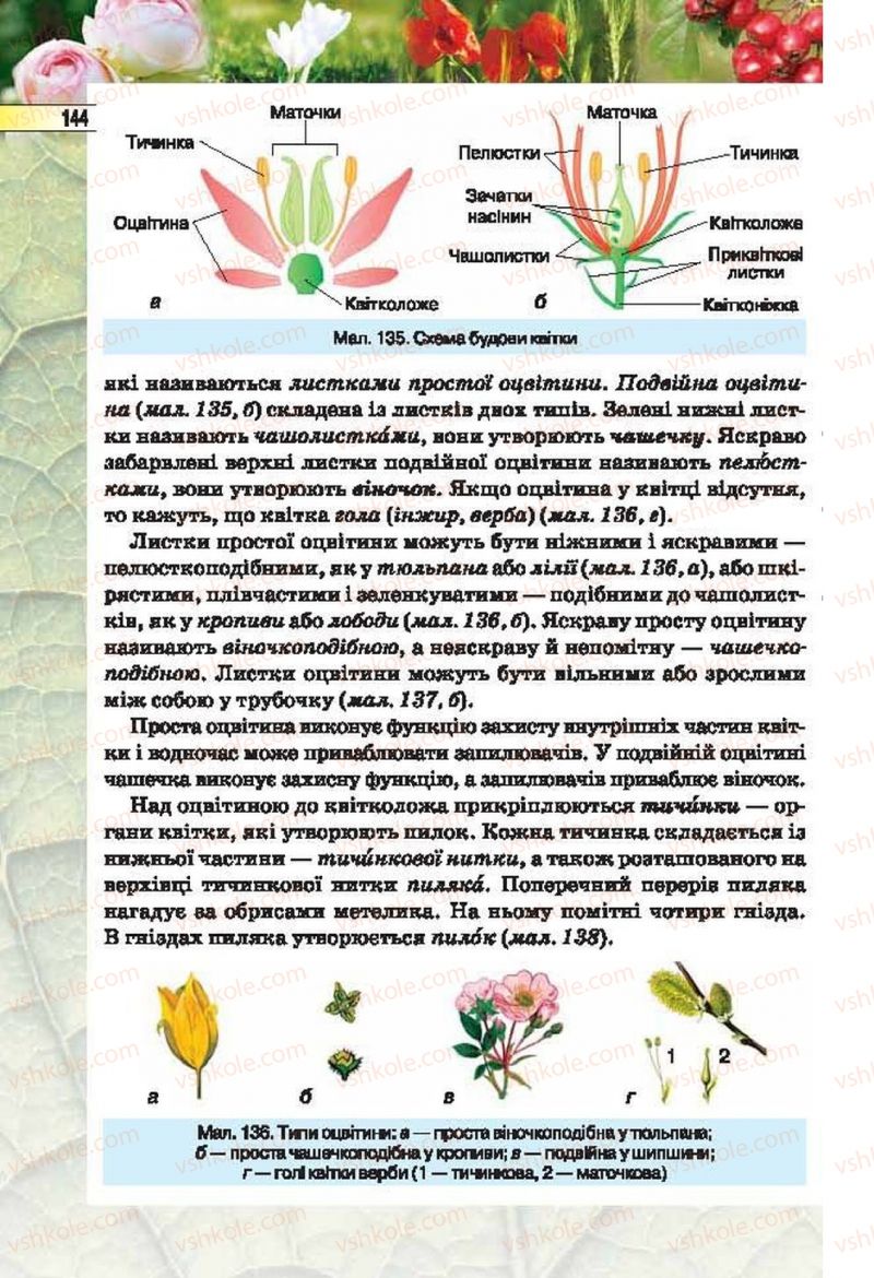 Страница 144 | Підручник Біологія 6 клас І.Ю. Костіков, С.О. Волгін, В.В. Додь 2014