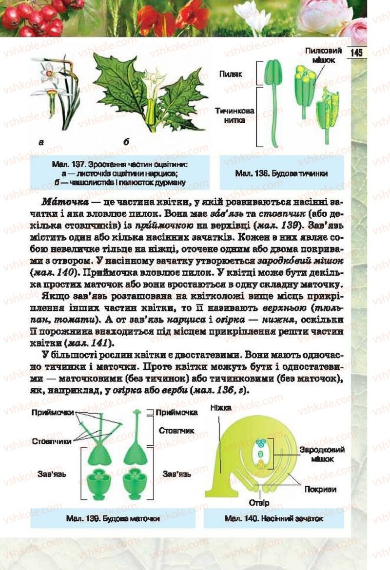 Страница 145 | Підручник Біологія 6 клас І.Ю. Костіков, С.О. Волгін, В.В. Додь 2014