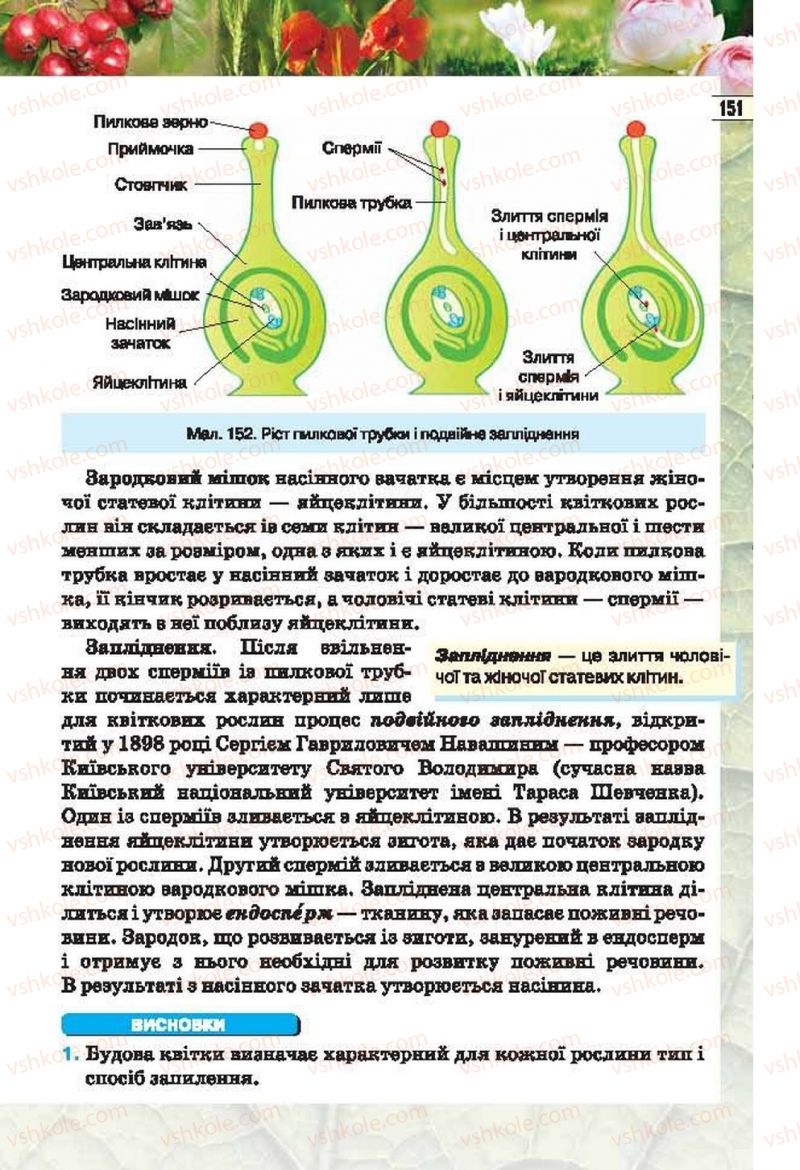 Страница 151 | Підручник Біологія 6 клас І.Ю. Костіков, С.О. Волгін, В.В. Додь 2014