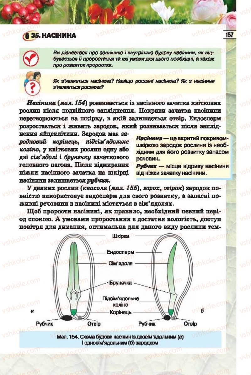 Страница 157 | Підручник Біологія 6 клас І.Ю. Костіков, С.О. Волгін, В.В. Додь 2014