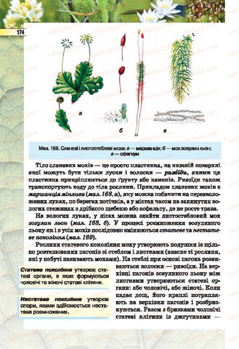 Страница 174 | Підручник Біологія 6 клас І.Ю. Костіков, С.О. Волгін, В.В. Додь 2014