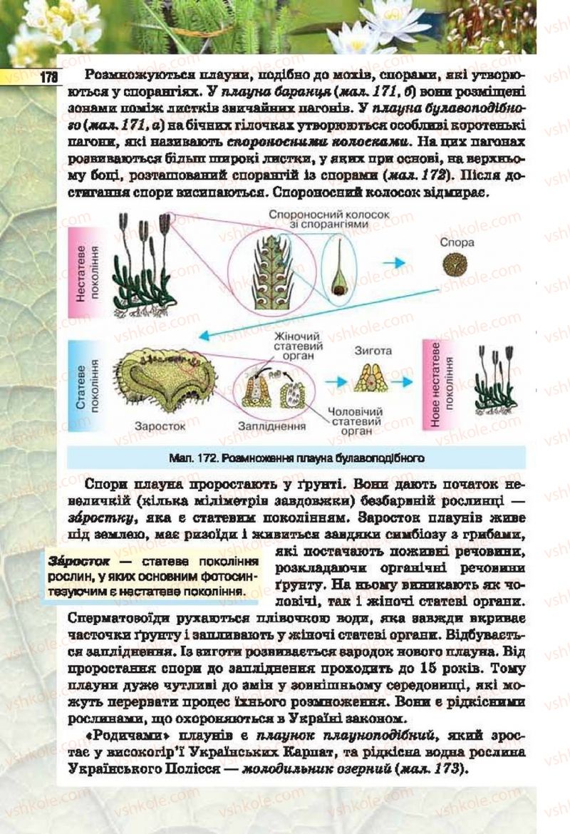 Страница 178 | Підручник Біологія 6 клас І.Ю. Костіков, С.О. Волгін, В.В. Додь 2014