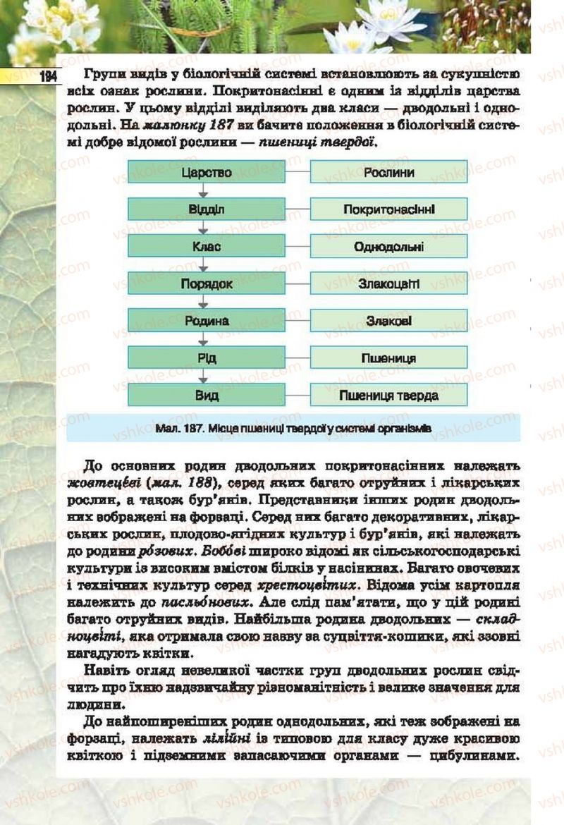 Страница 194 | Підручник Біологія 6 клас І.Ю. Костіков, С.О. Волгін, В.В. Додь 2014