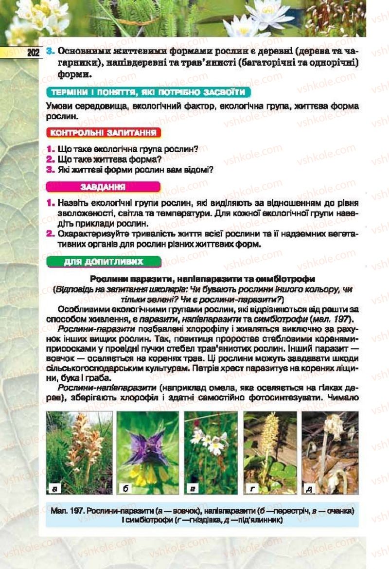 Страница 202 | Підручник Біологія 6 клас І.Ю. Костіков, С.О. Волгін, В.В. Додь 2014