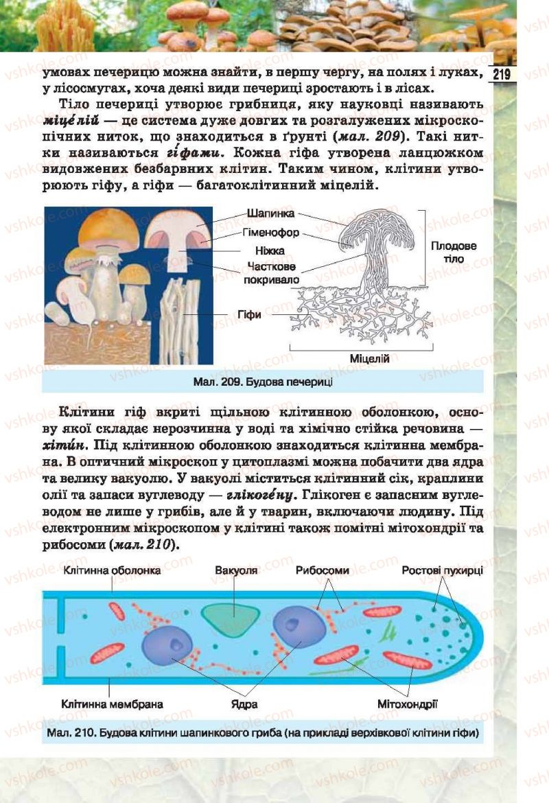 Страница 219 | Підручник Біологія 6 клас І.Ю. Костіков, С.О. Волгін, В.В. Додь 2014