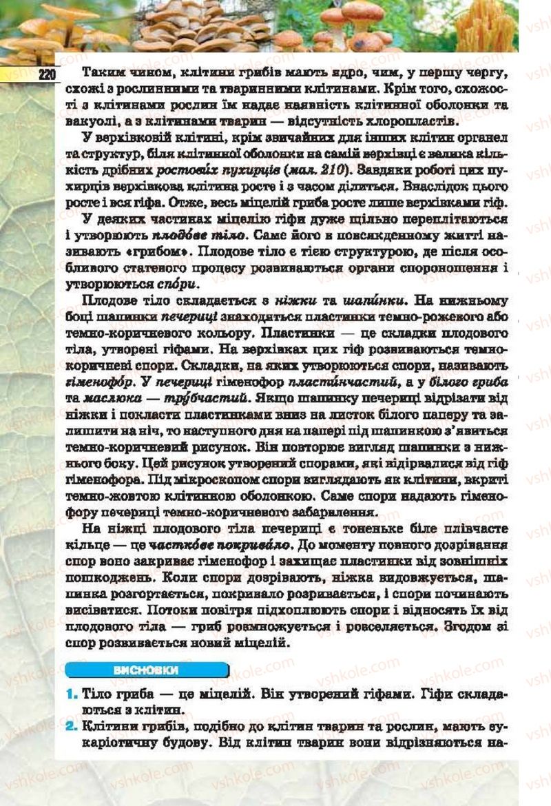 Страница 220 | Підручник Біологія 6 клас І.Ю. Костіков, С.О. Волгін, В.В. Додь 2014
