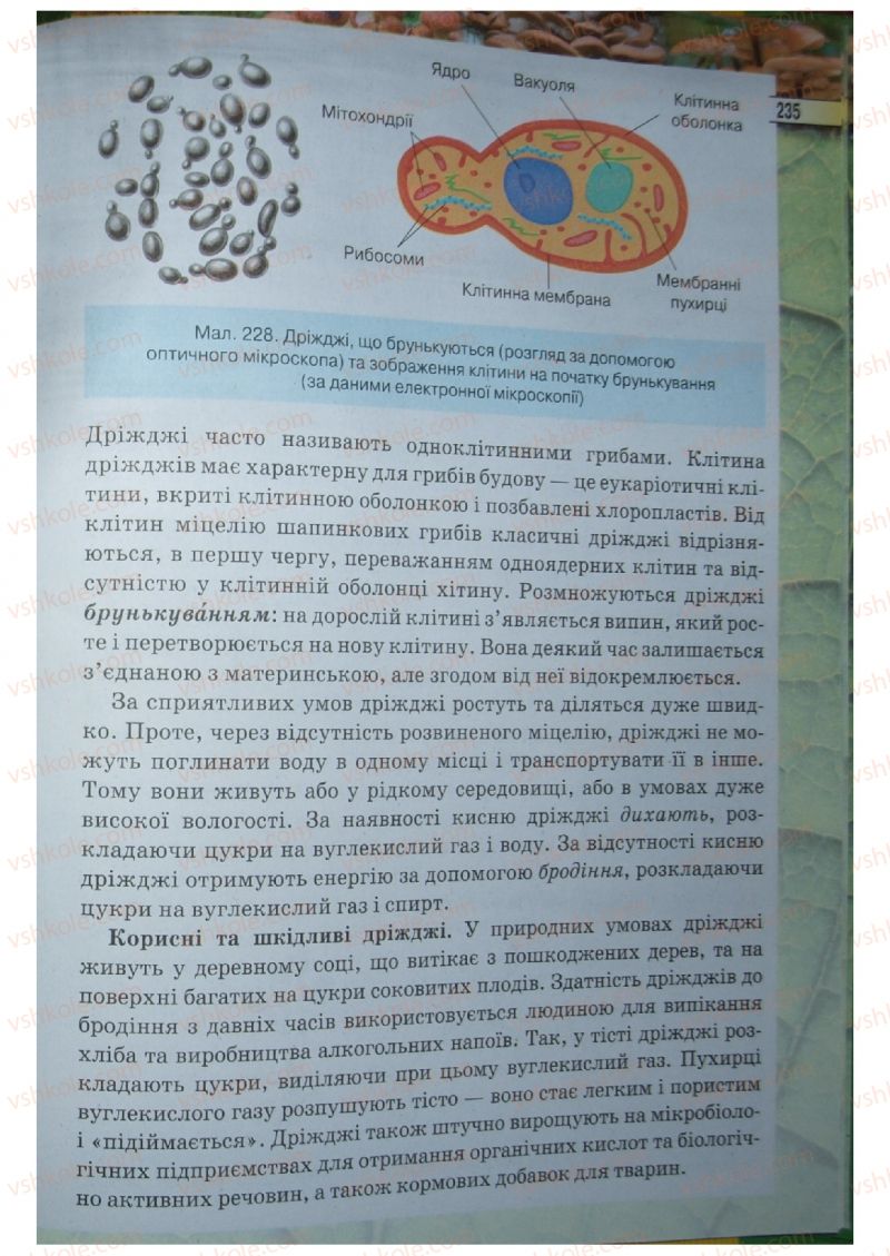 Страница 235 | Підручник Біологія 6 клас І.Ю. Костіков, С.О. Волгін, В.В. Додь 2014