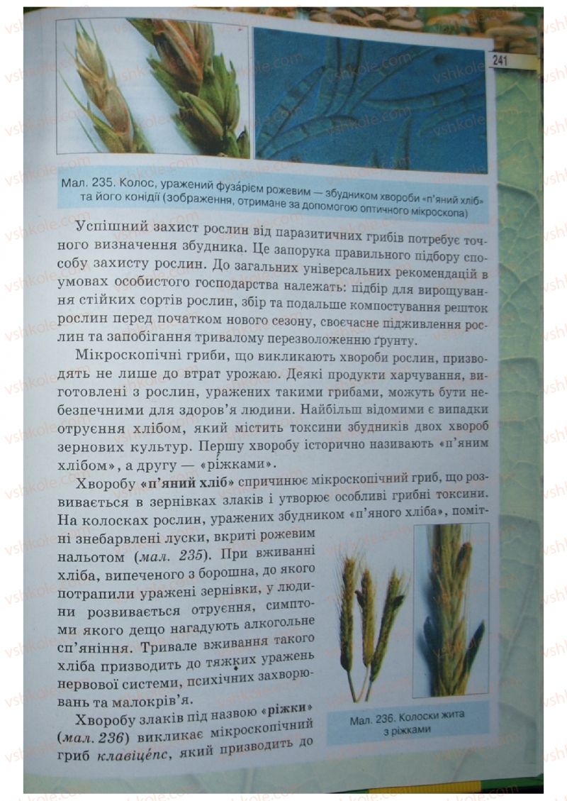 Страница 241 | Підручник Біологія 6 клас І.Ю. Костіков, С.О. Волгін, В.В. Додь 2014