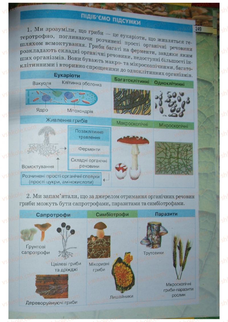 Страница 249 | Підручник Біологія 6 клас І.Ю. Костіков, С.О. Волгін, В.В. Додь 2014