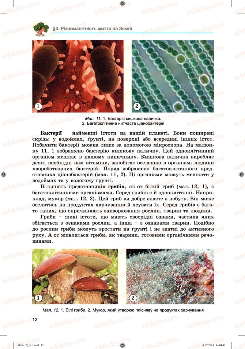 Страница 12 | Підручник Біологія 6 клас Л.І. Остапченко, П.Г. Балан, Н.Ю. Матяш 2014