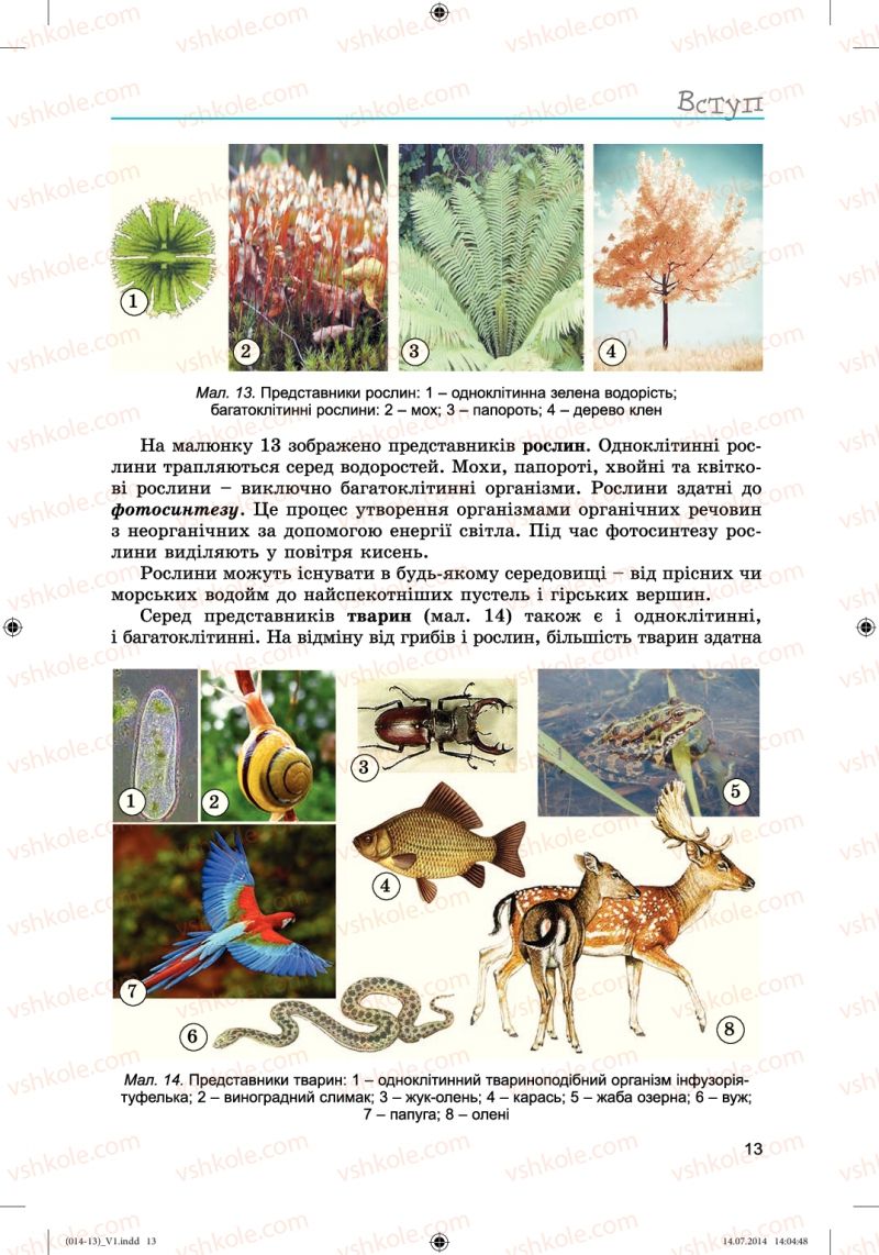 Страница 13 | Підручник Біологія 6 клас Л.І. Остапченко, П.Г. Балан, Н.Ю. Матяш 2014