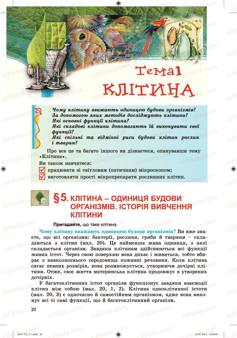 Страница 20 | Підручник Біологія 6 клас Л.І. Остапченко, П.Г. Балан, Н.Ю. Матяш 2014