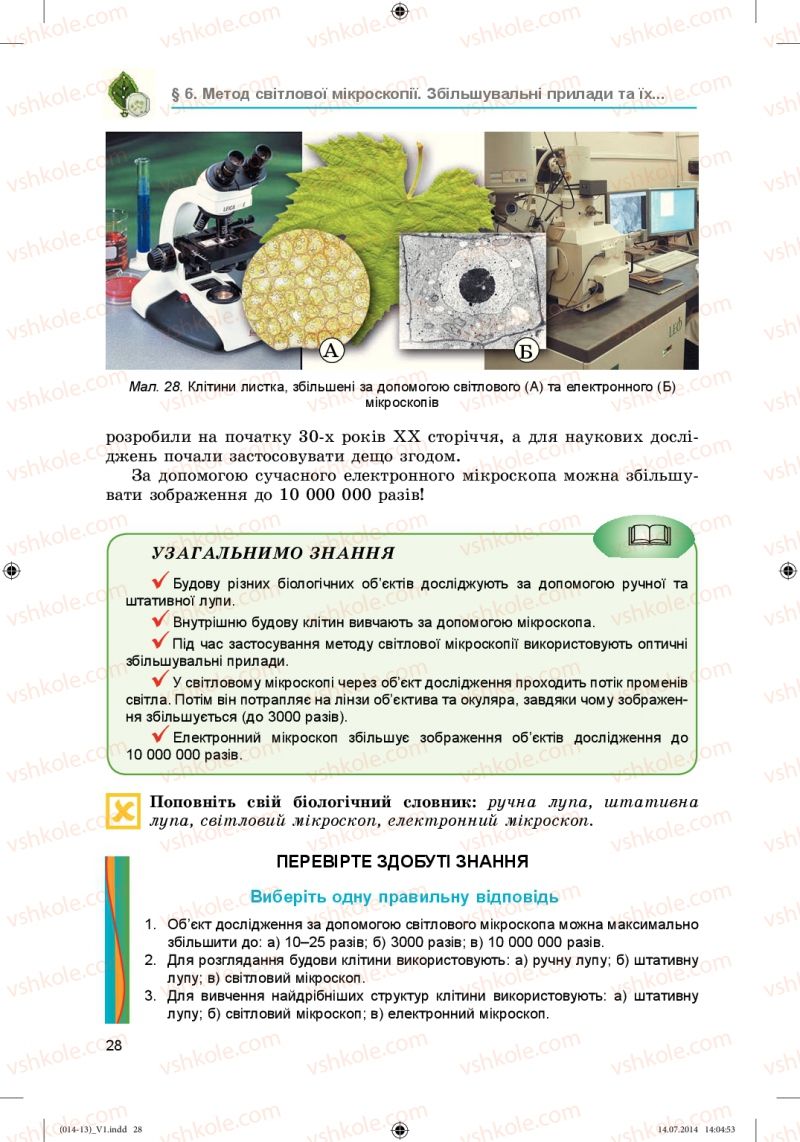 Страница 28 | Підручник Біологія 6 клас Л.І. Остапченко, П.Г. Балан, Н.Ю. Матяш 2014