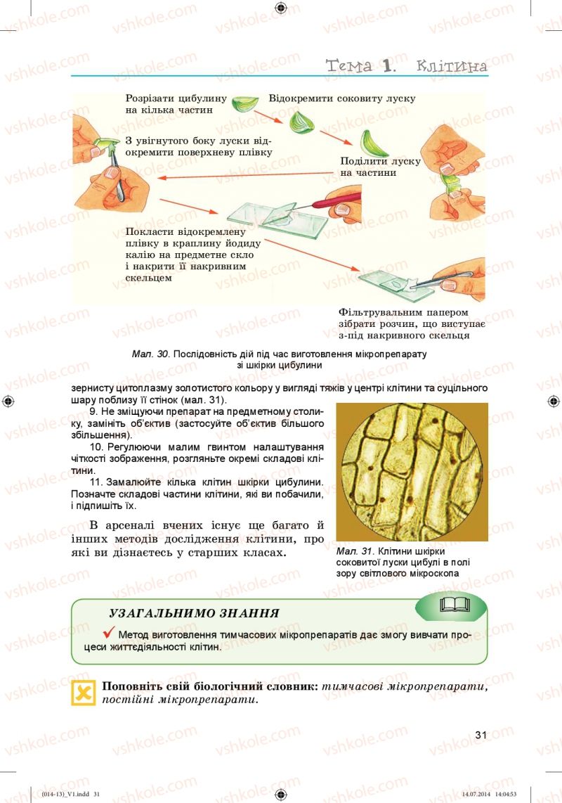 Страница 31 | Підручник Біологія 6 клас Л.І. Остапченко, П.Г. Балан, Н.Ю. Матяш 2014