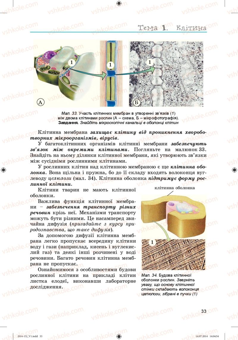 Страница 33 | Підручник Біологія 6 клас Л.І. Остапченко, П.Г. Балан, Н.Ю. Матяш 2014