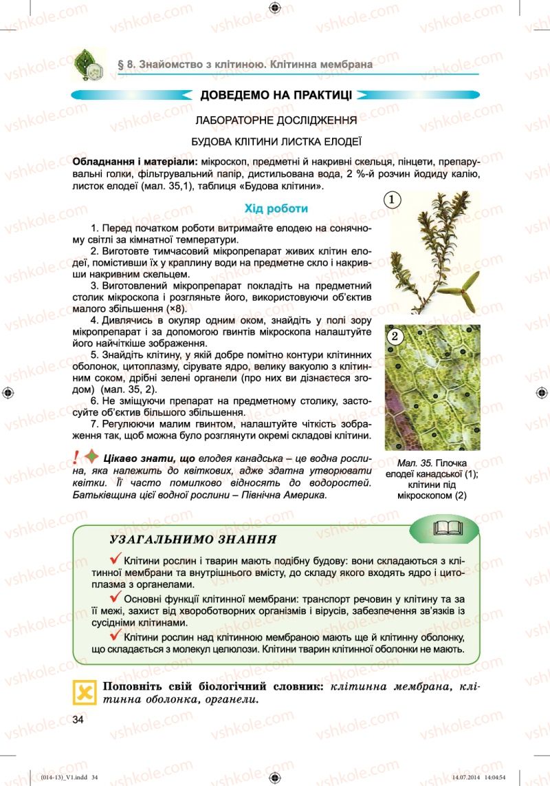 Страница 34 | Підручник Біологія 6 клас Л.І. Остапченко, П.Г. Балан, Н.Ю. Матяш 2014