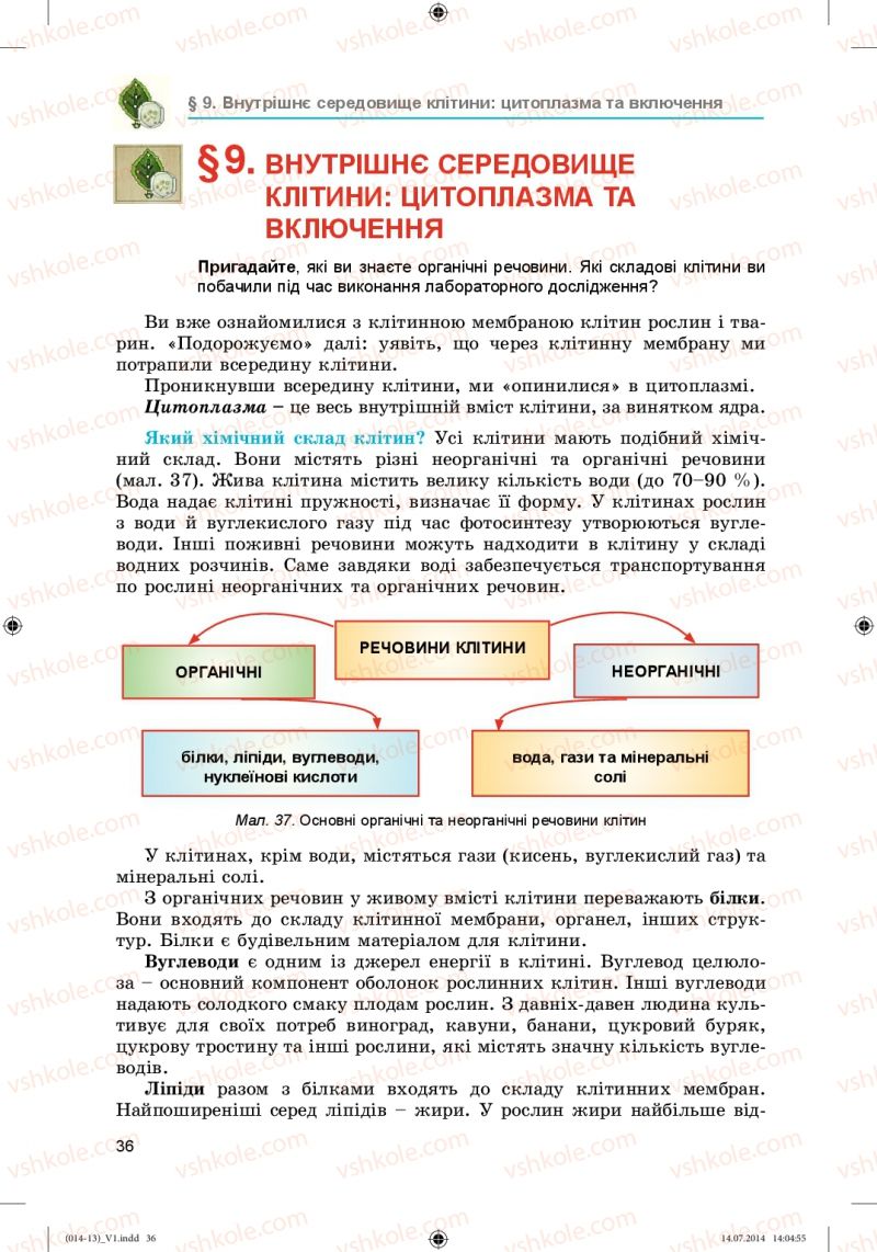 Страница 36 | Підручник Біологія 6 клас Л.І. Остапченко, П.Г. Балан, Н.Ю. Матяш 2014