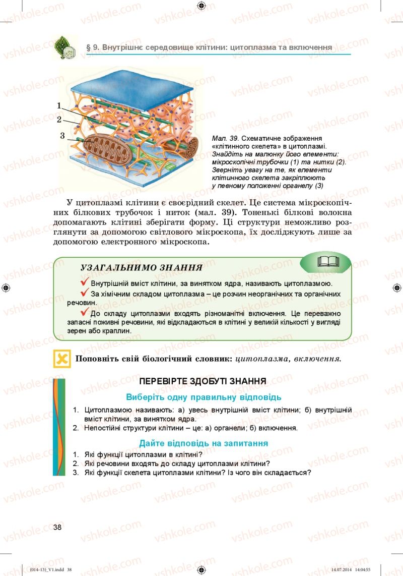 Страница 38 | Підручник Біологія 6 клас Л.І. Остапченко, П.Г. Балан, Н.Ю. Матяш 2014