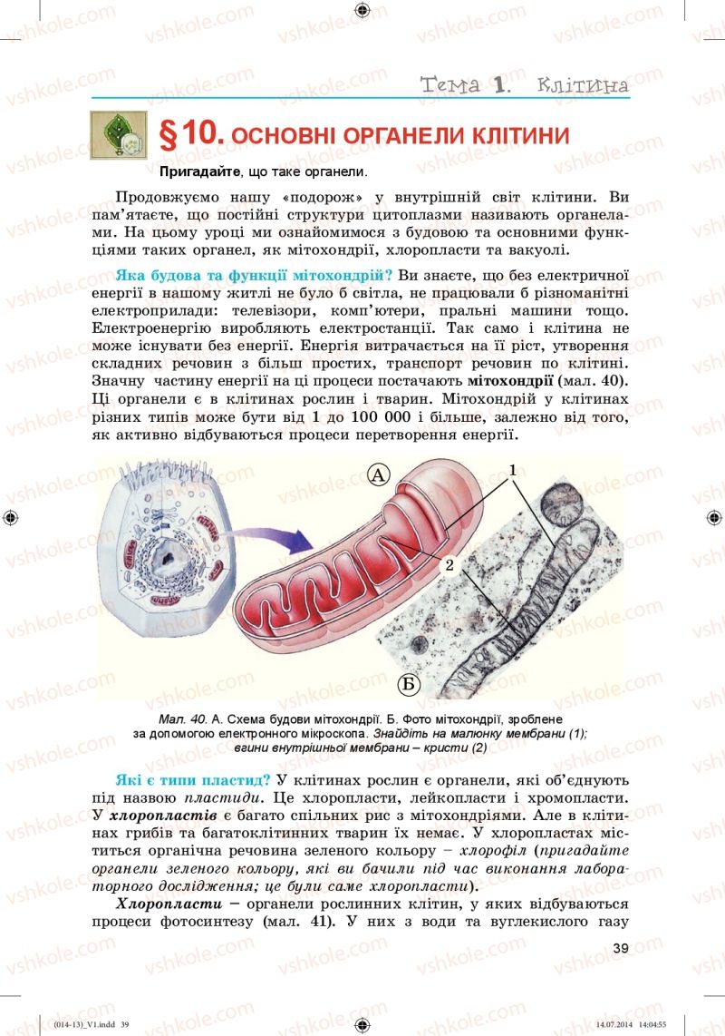 Страница 39 | Підручник Біологія 6 клас Л.І. Остапченко, П.Г. Балан, Н.Ю. Матяш 2014