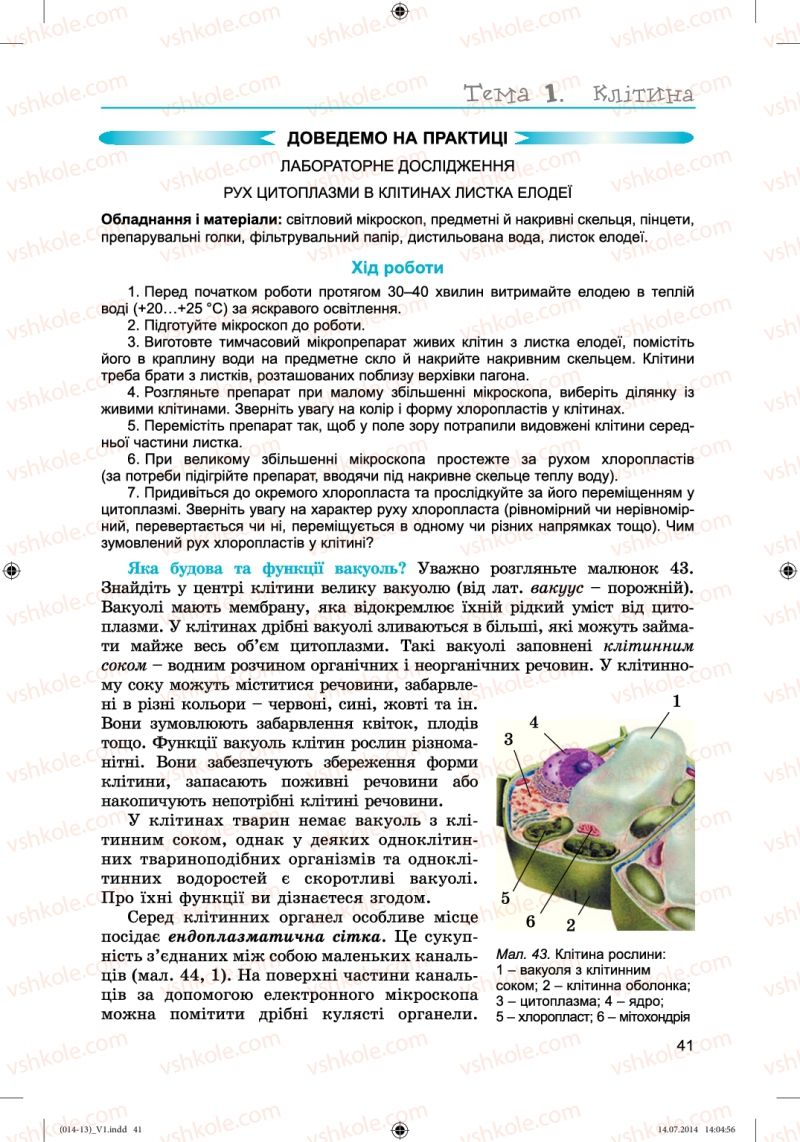 Страница 41 | Підручник Біологія 6 клас Л.І. Остапченко, П.Г. Балан, Н.Ю. Матяш 2014