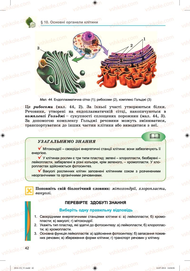 Страница 42 | Підручник Біологія 6 клас Л.І. Остапченко, П.Г. Балан, Н.Ю. Матяш 2014