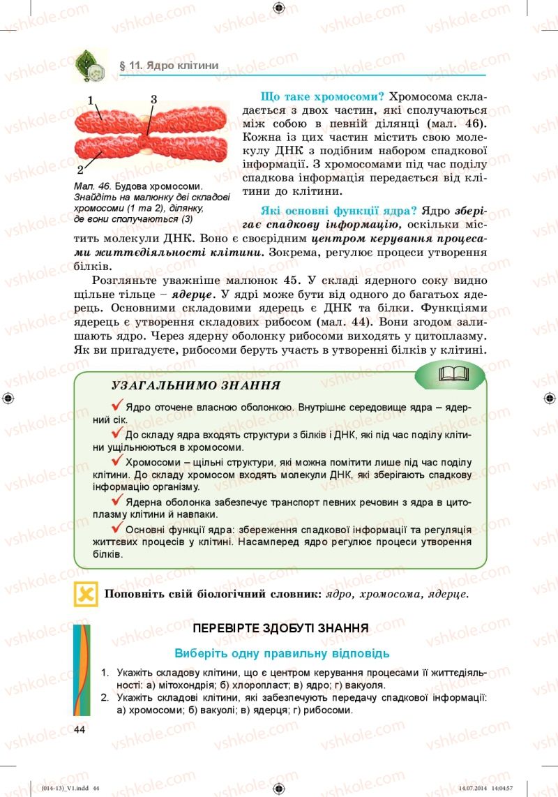 Страница 44 | Підручник Біологія 6 клас Л.І. Остапченко, П.Г. Балан, Н.Ю. Матяш 2014