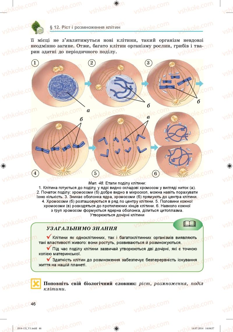 Страница 46 | Підручник Біологія 6 клас Л.І. Остапченко, П.Г. Балан, Н.Ю. Матяш 2014