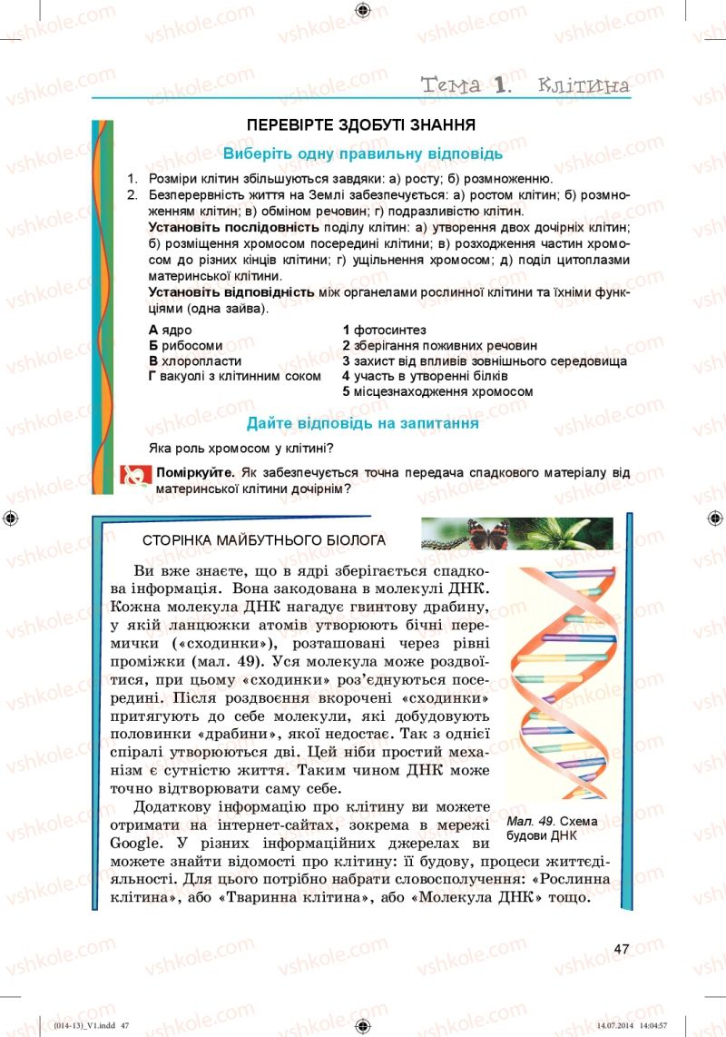 Страница 47 | Підручник Біологія 6 клас Л.І. Остапченко, П.Г. Балан, Н.Ю. Матяш 2014