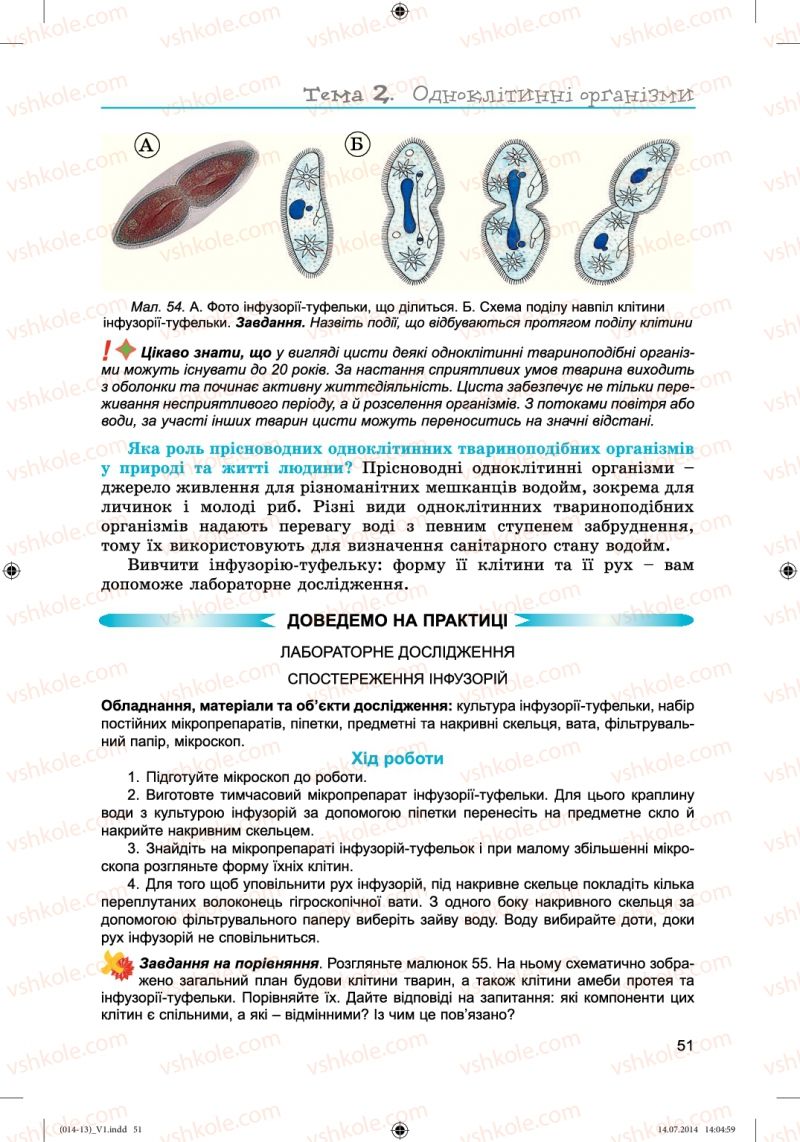 Страница 51 | Підручник Біологія 6 клас Л.І. Остапченко, П.Г. Балан, Н.Ю. Матяш 2014