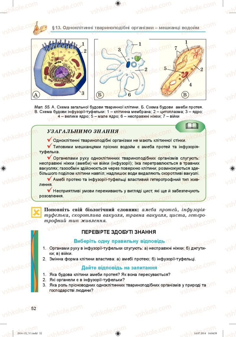 Страница 52 | Підручник Біологія 6 клас Л.І. Остапченко, П.Г. Балан, Н.Ю. Матяш 2014