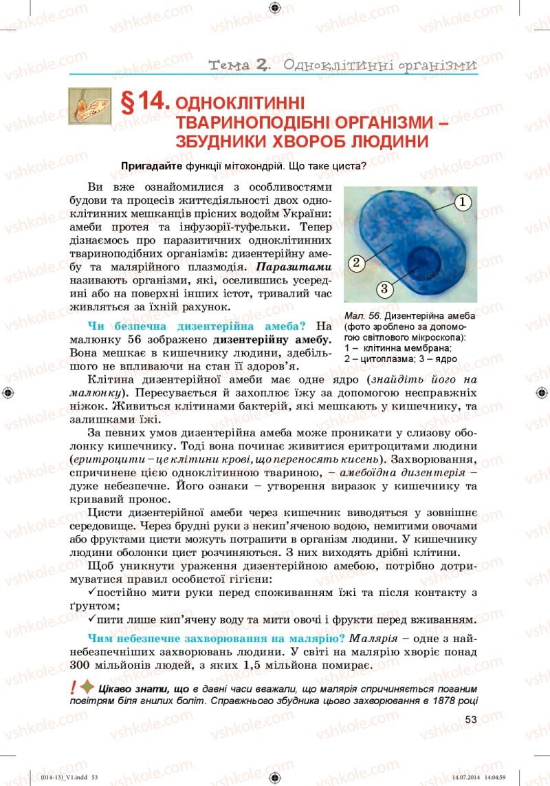 Страница 53 | Підручник Біологія 6 клас Л.І. Остапченко, П.Г. Балан, Н.Ю. Матяш 2014