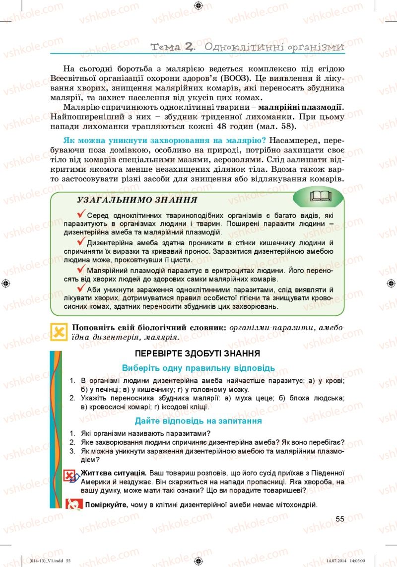 Страница 55 | Підручник Біологія 6 клас Л.І. Остапченко, П.Г. Балан, Н.Ю. Матяш 2014